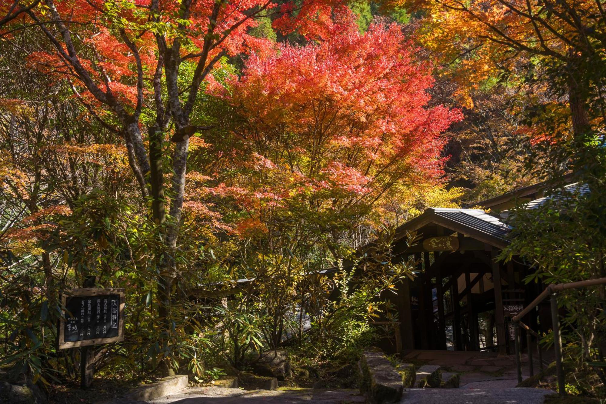 Oyado Hanabou Minamioguni Exterior photo